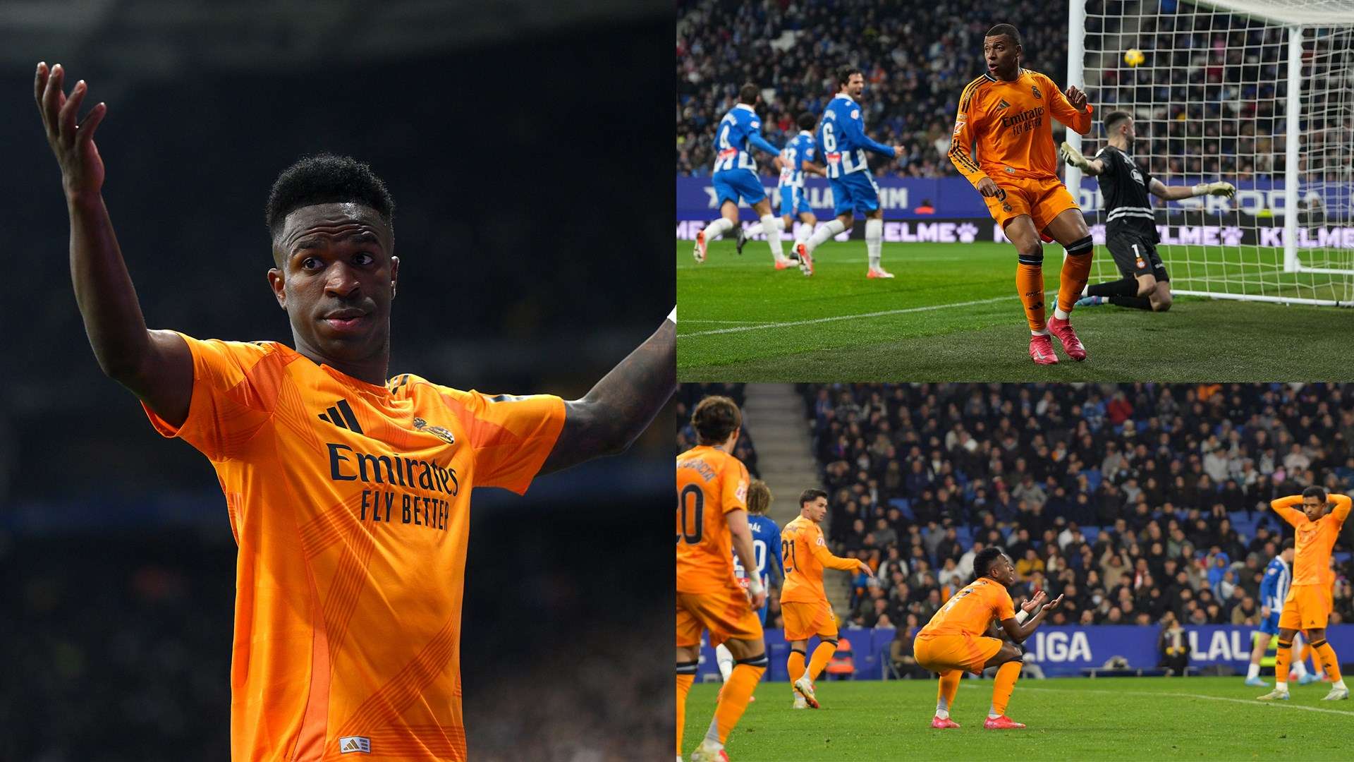 需要的不仅 需要的不仅