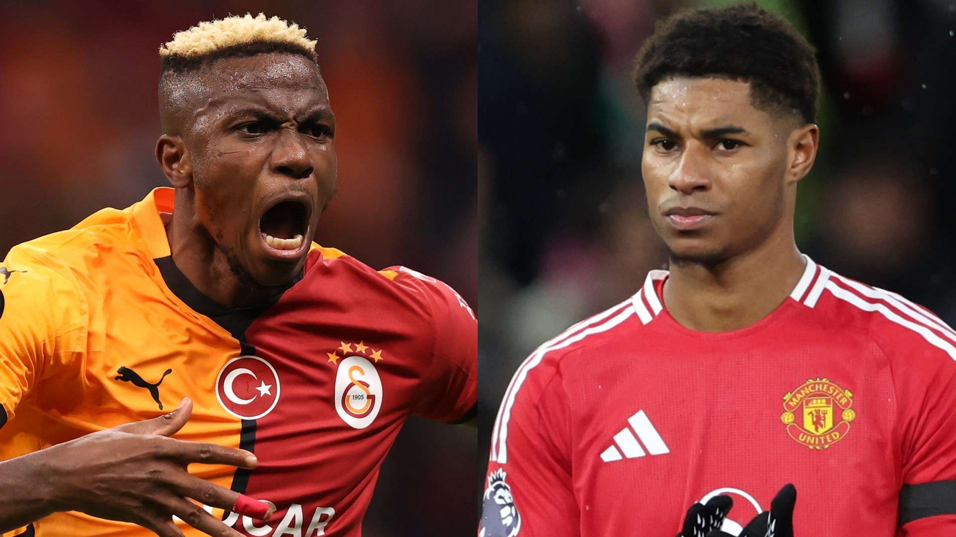 找到借鑒 找到借鑒